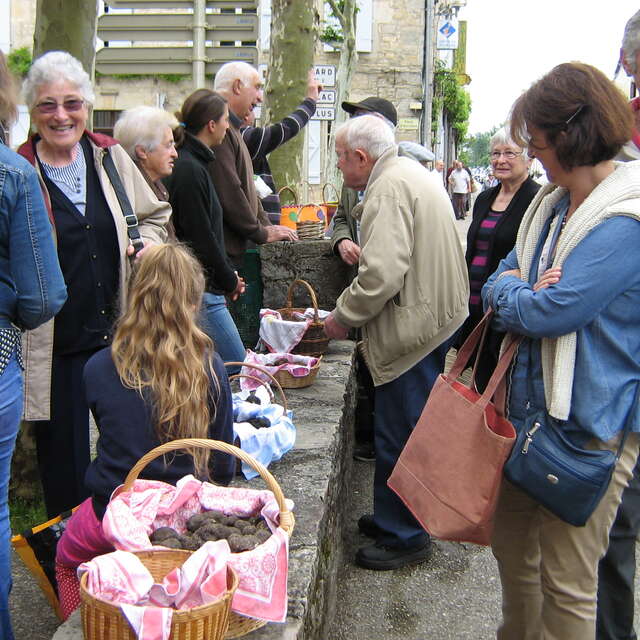 Marché aux truffes d’été