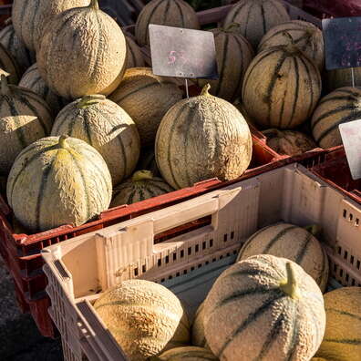 Marché estival de Montcabrier