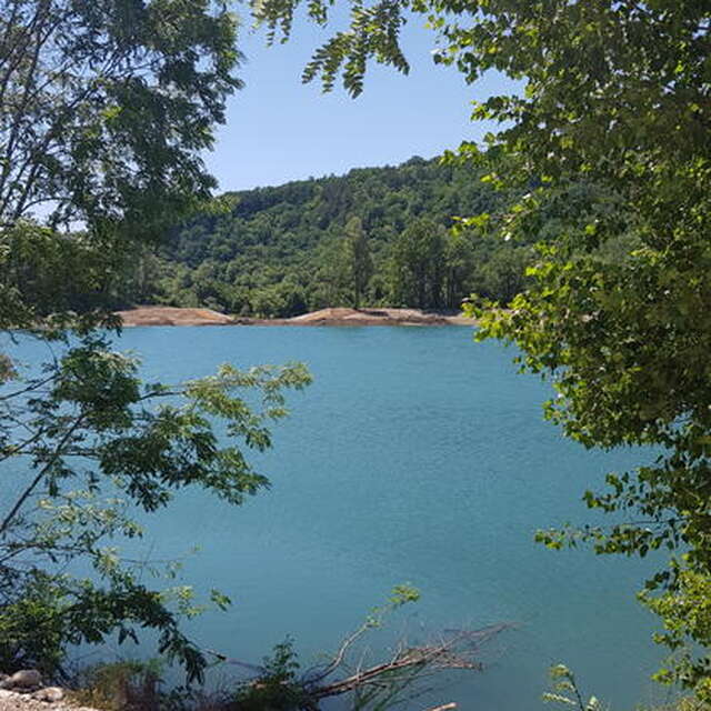 Découverte de la nature pour les enfants à la réserve départementale de biodiversité d'Argentat