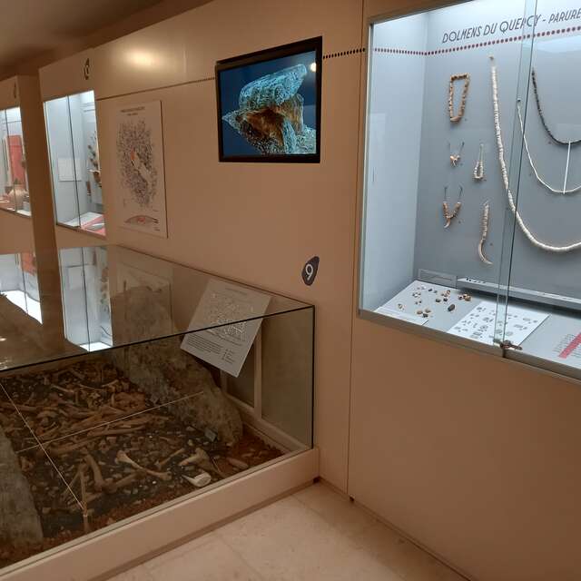 Musée de Préhistoire Amédée Lemozi