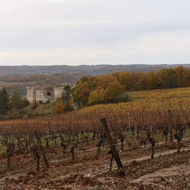 Circuit d'Al Tuc