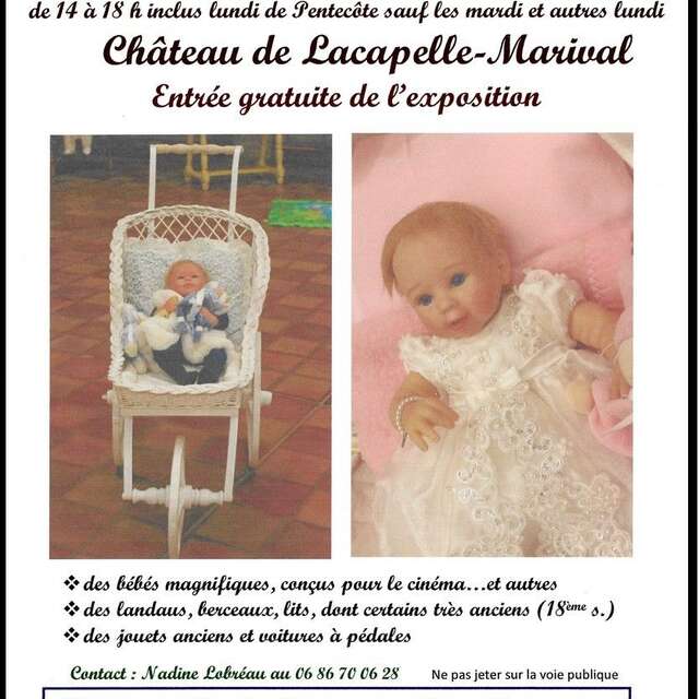 Exposition de Printemps au Château de Lacapelle-Marival : la vie des bébés