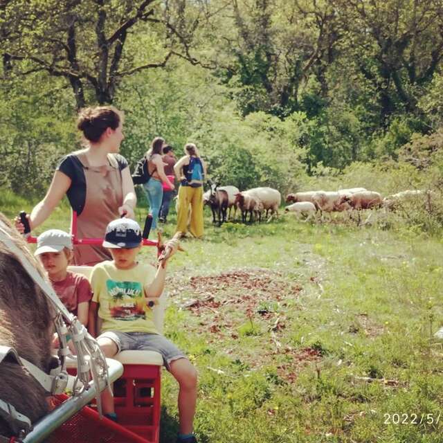 les Balades Accompagnées du Domaine de Mons