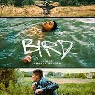 Ciné-Lot à Le Bourg  : "Bird"