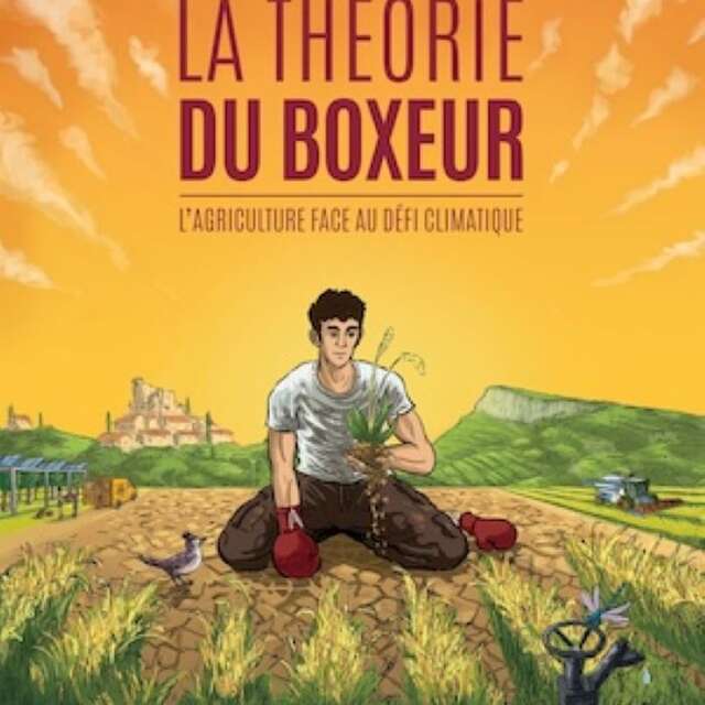 Ciné - climat à Figeac : "La théorie du boxeur"