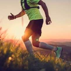 Trail des Châtaigniers