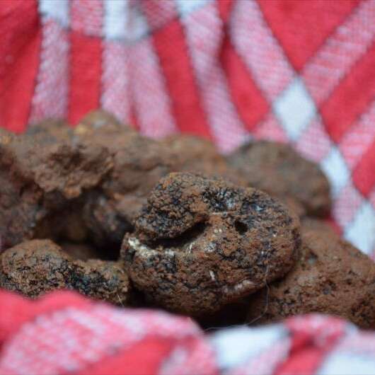 Marché aux Truffes  à Gourdon