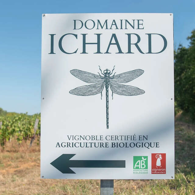 Domaine Ichard