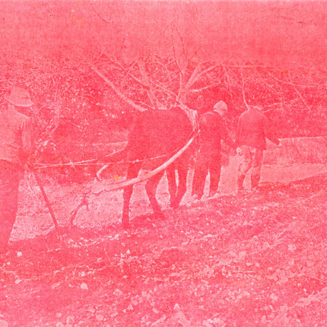 Exposition à la Vinadie  : Archives et matière photographique, Lilie Pinot