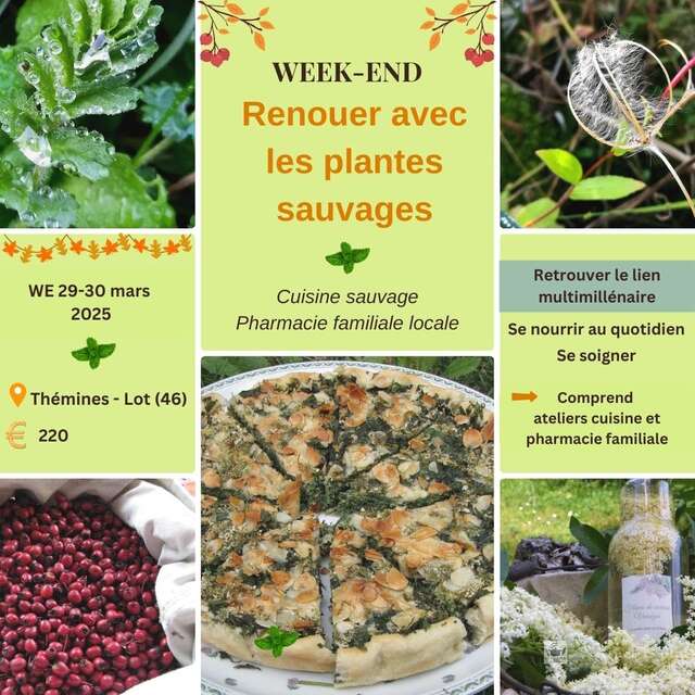 Week-end stage "renouer avec les plantes sauvages" avec Caroline Calendula à Thémines