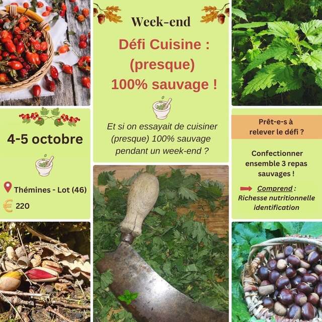 Atelier :  défi cuisine "presque 100% sauvage" par Caroline Calendula, à Thémines