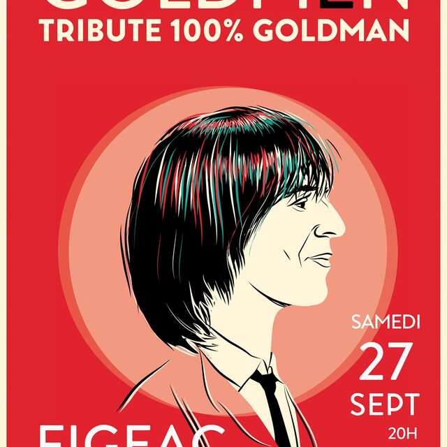 Concert "Goldmen" à Figeac