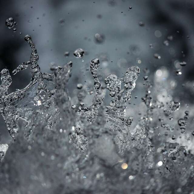 Atelier gestion et entretien des cours d'eau