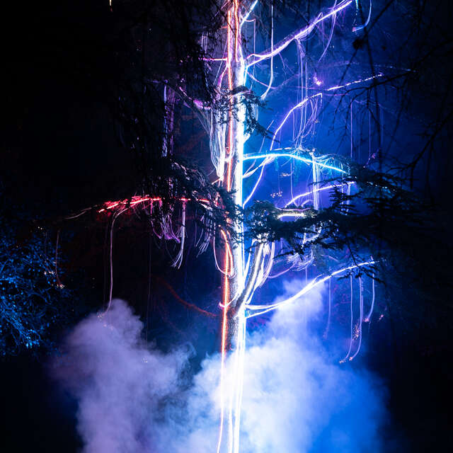 Visions Nocturnes au Parc Animalier