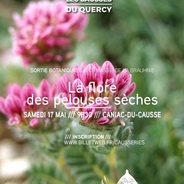 La flore des pelouses sèches