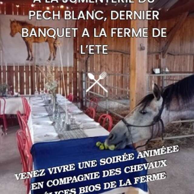 Les Banquets de l'été à la Jumenterie!