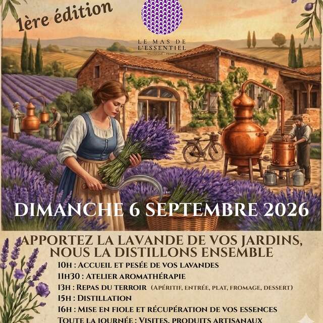 Distille ta lavande !