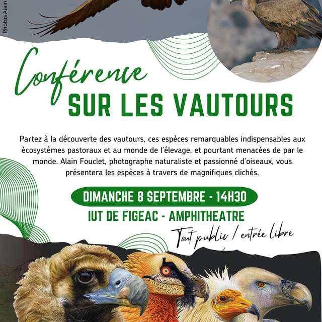 Conférence sur les vautours