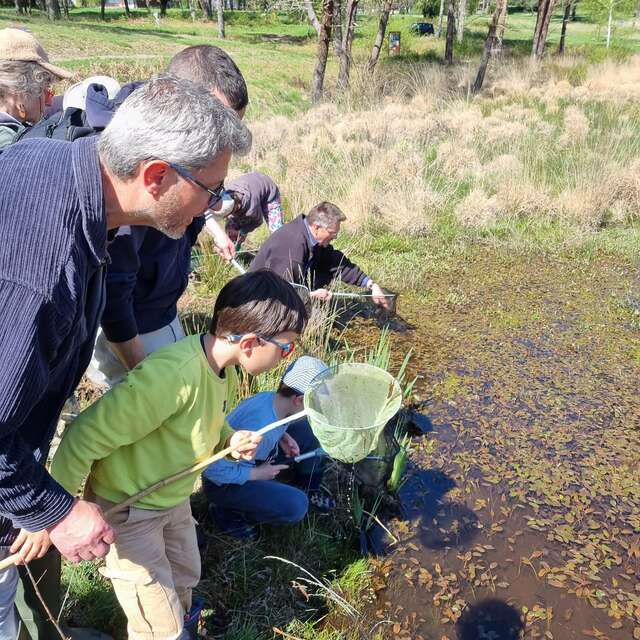 Ateliers-découverte : la petite faune de la rivière à Bretenoux