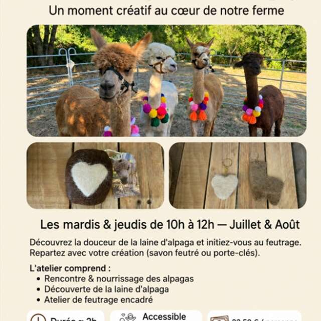 Ateliers feutrage à la ferme des Alpagas de Fons