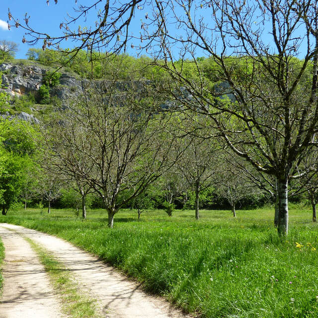 Entre Ouysse et Causse