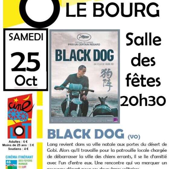 Ciné-Lot à Le Bourg  : "black dog"
