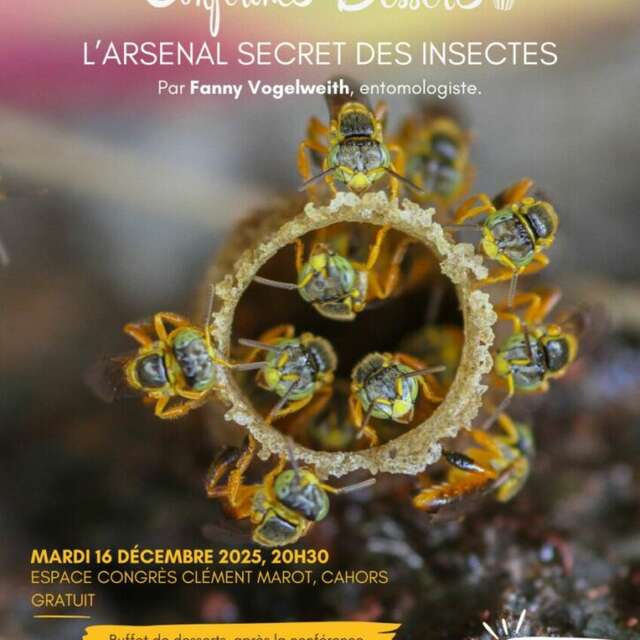 Conférence Dessert avec Carrefour des Sciences et des Arts : "L’arsenal secret des insectes"