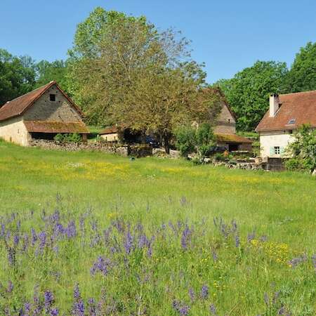 Gites De Combarel - Le Rosier Blanc