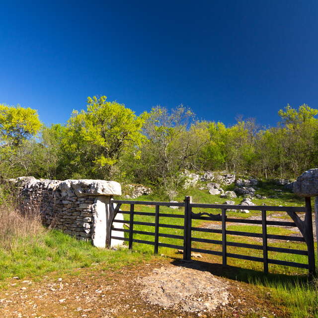 Circuit de Planagrèze