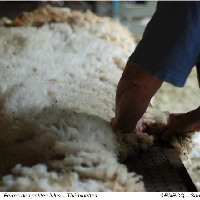 Formation tri et valorisation de la laine à Marchilhac-sur-Célé