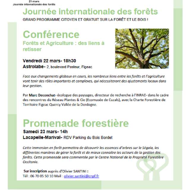 Promenade forestière à Lacapelle-Marival