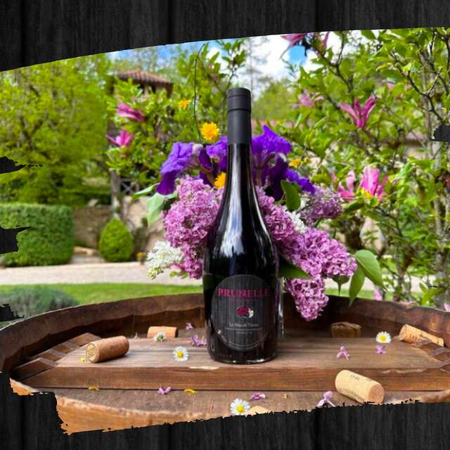 Le Mas de Tresse - Apéritifs d'Antan