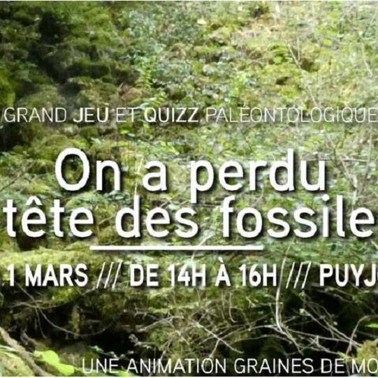 Graines de Moutards à Puyjourdes, sortie : On a perdu la tête des fossiles !
