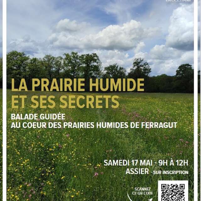 Sortie nature à Assier : la prairie humide et ses secrets