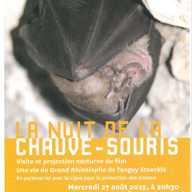 La nuit de la chauve-souris au Château d’Assier