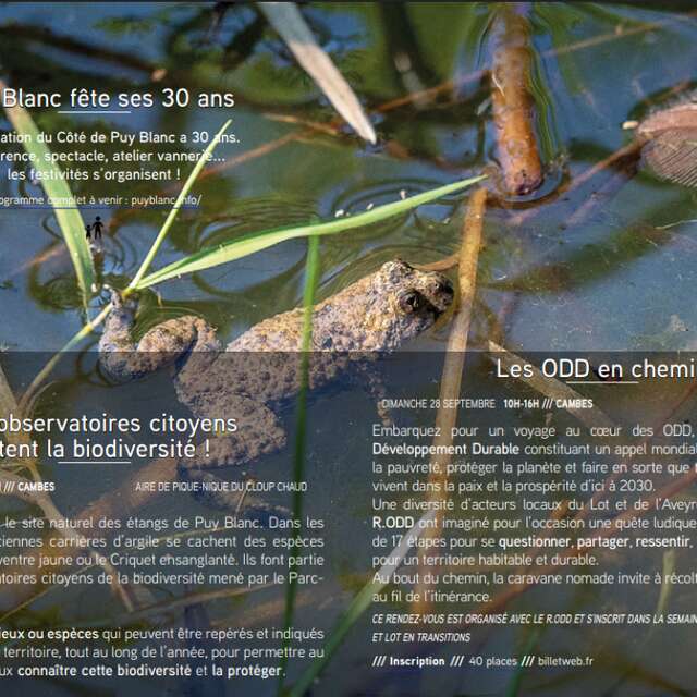 Les Odd en chemin ! Objectifs développement durable