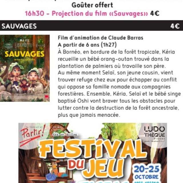 Ciné Jeu à Figeac, Pico Park et ciné  "Sauvages"