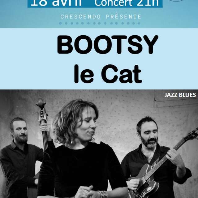 Concert à Fons : soirée Bootsy Le Cat