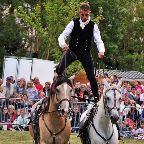 Grand spectacle équestre