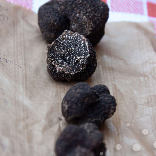 Marché aux truffes de Saint-Céré