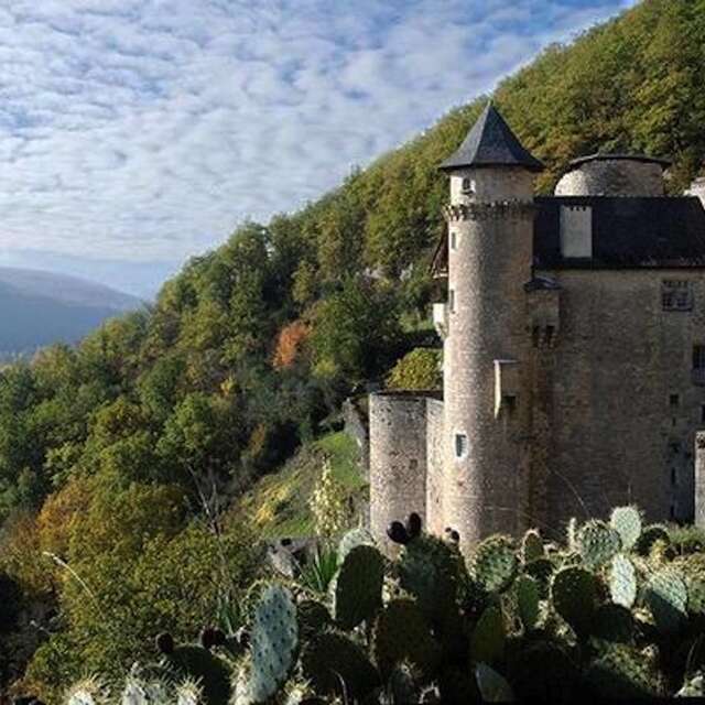 Marché Gourmand à Larroque-Toirac