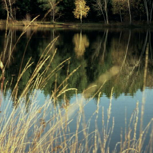 Le Plan d'Eau des Sagnes