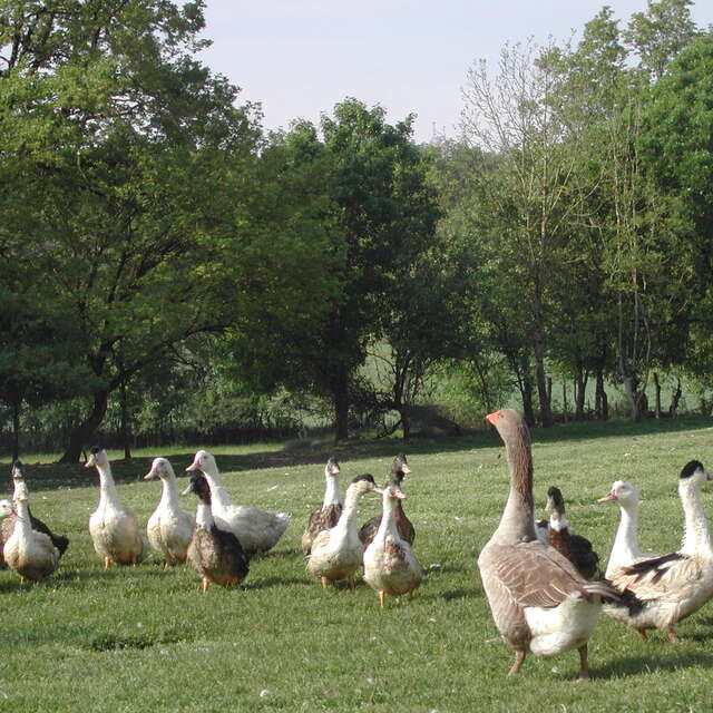 Ferme d'Esparnol
