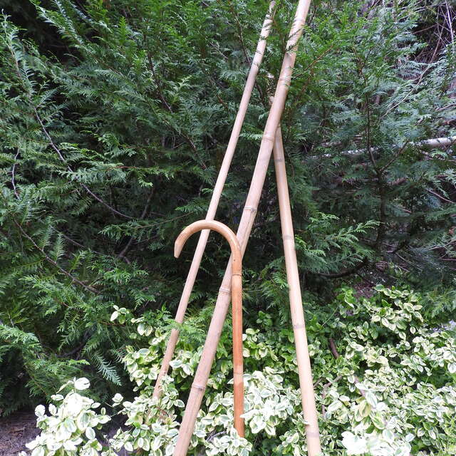 Association "Les Sens de la Nature"