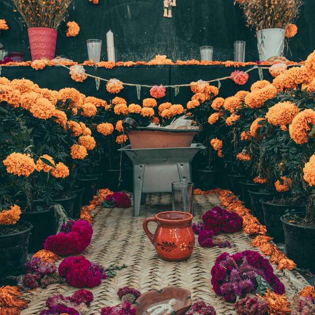 Exposition "Dia de los muertos"