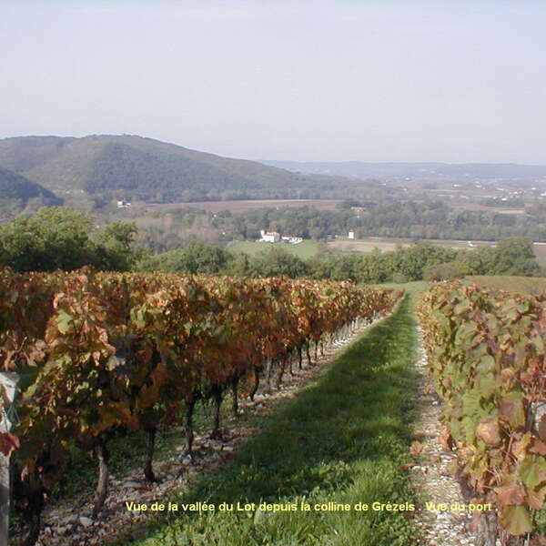 Domaine Dhoste Chevalier
