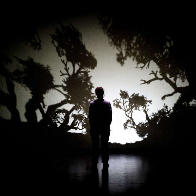 Théâtre de l'Usine - Dominique toute seule