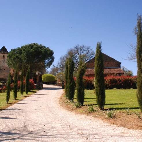 La Borie : Mimosa Gite de charme