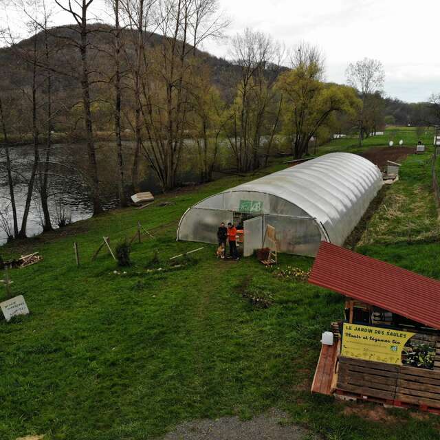 Le jardin des saules - Production de plants maraichers et aromatiques​