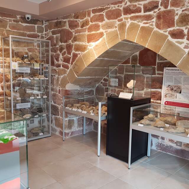 Espace de Découverte de la Faille de Meyssac et de la Pierre